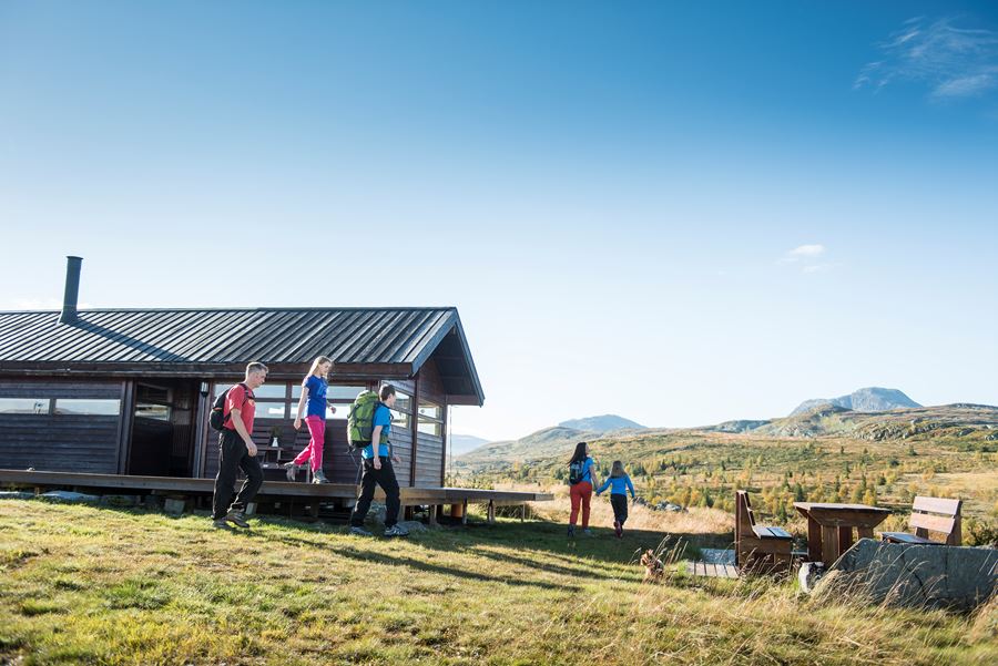 Summer in the Norwegian mountains