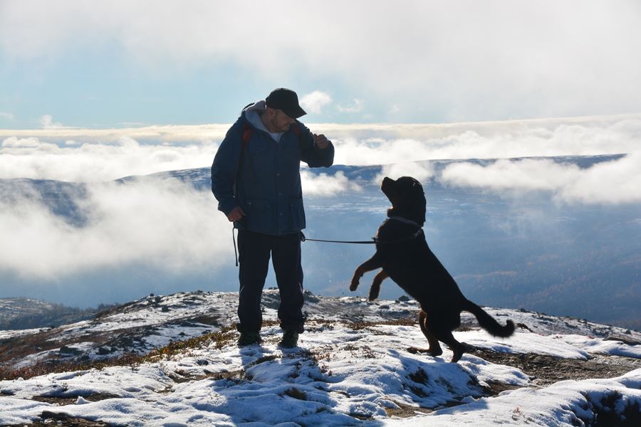 På ferie i Norge med hund