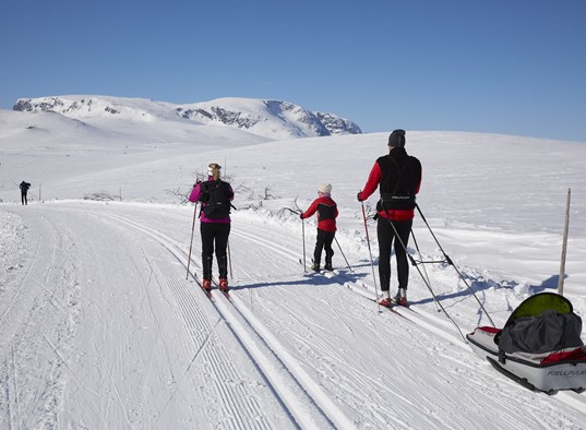cross-country-geilo-hallingdal-winter-skiing-morten-knudsen (8).jpg