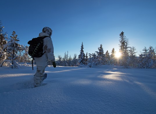 Trugestur-snowshoe-nysnø-vintersol-geilo-hallingdal-hallingskarvet-bjørnfuruseth.jpg