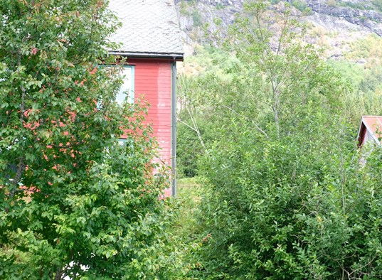 Sunnfjord Leilighet I Jølster 4