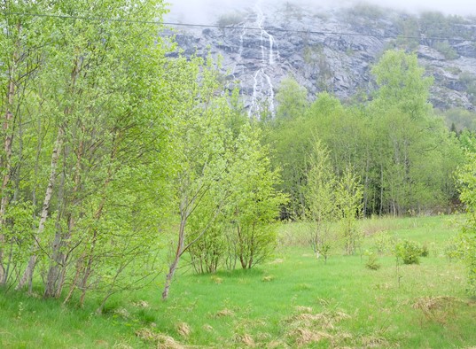 Sunnfjord Leilighet I Jølster 18