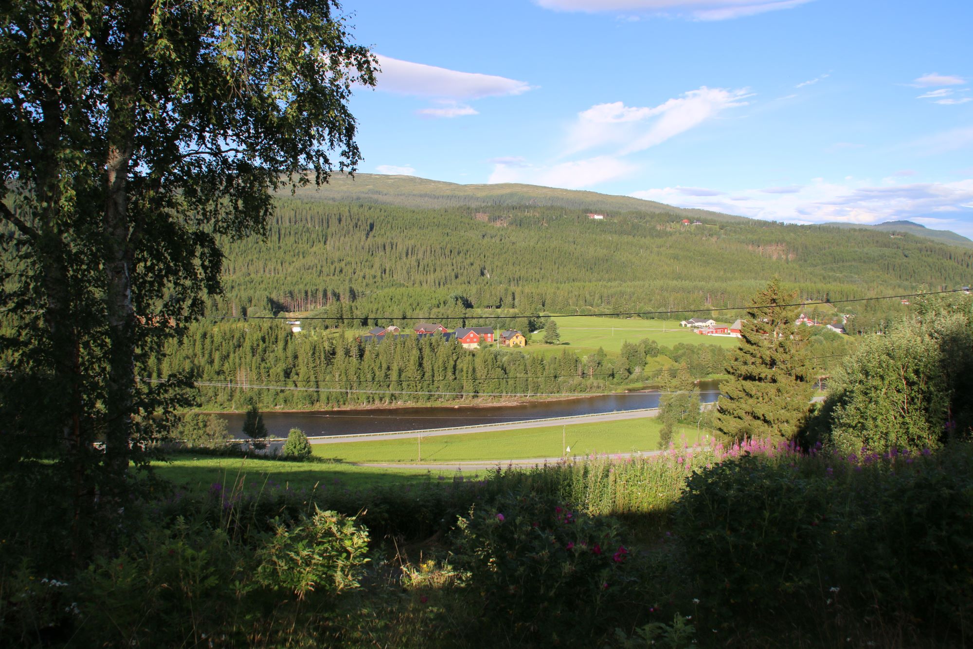 Gaulabua Hytte I Haltdalen, Trøndelag (18)