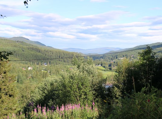 Gaulabua Hytte I Haltdalen, Trøndelag (19)