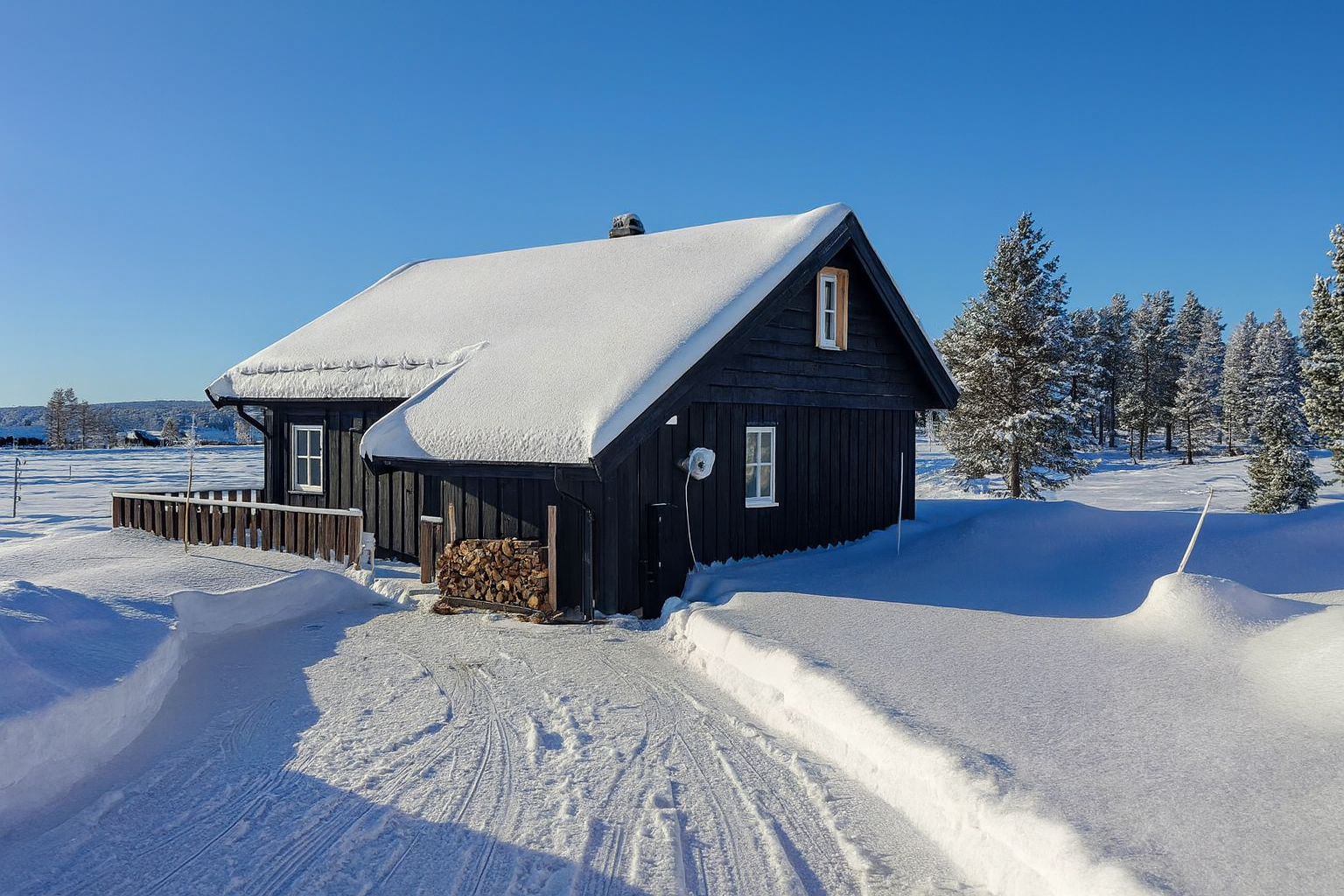 Bjørkefinken AI Vinter