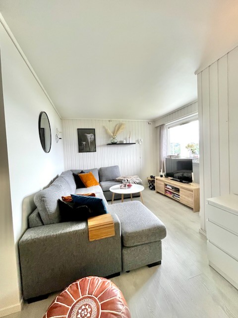 Solbakken Øst Leilihget I Ålseund (1)