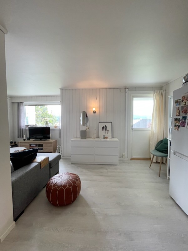 Solbakken Øst Leilihget I Ålseund (2)