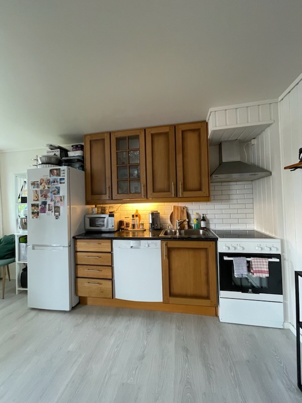 Solbakken Øst Leilihget I Ålseund (7)