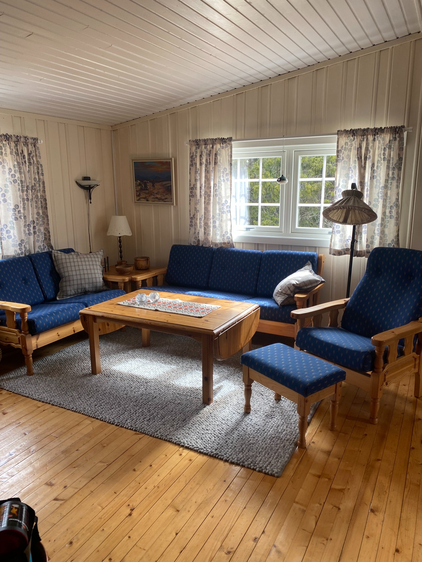 Breidablikk Hytte I Valdres (11)