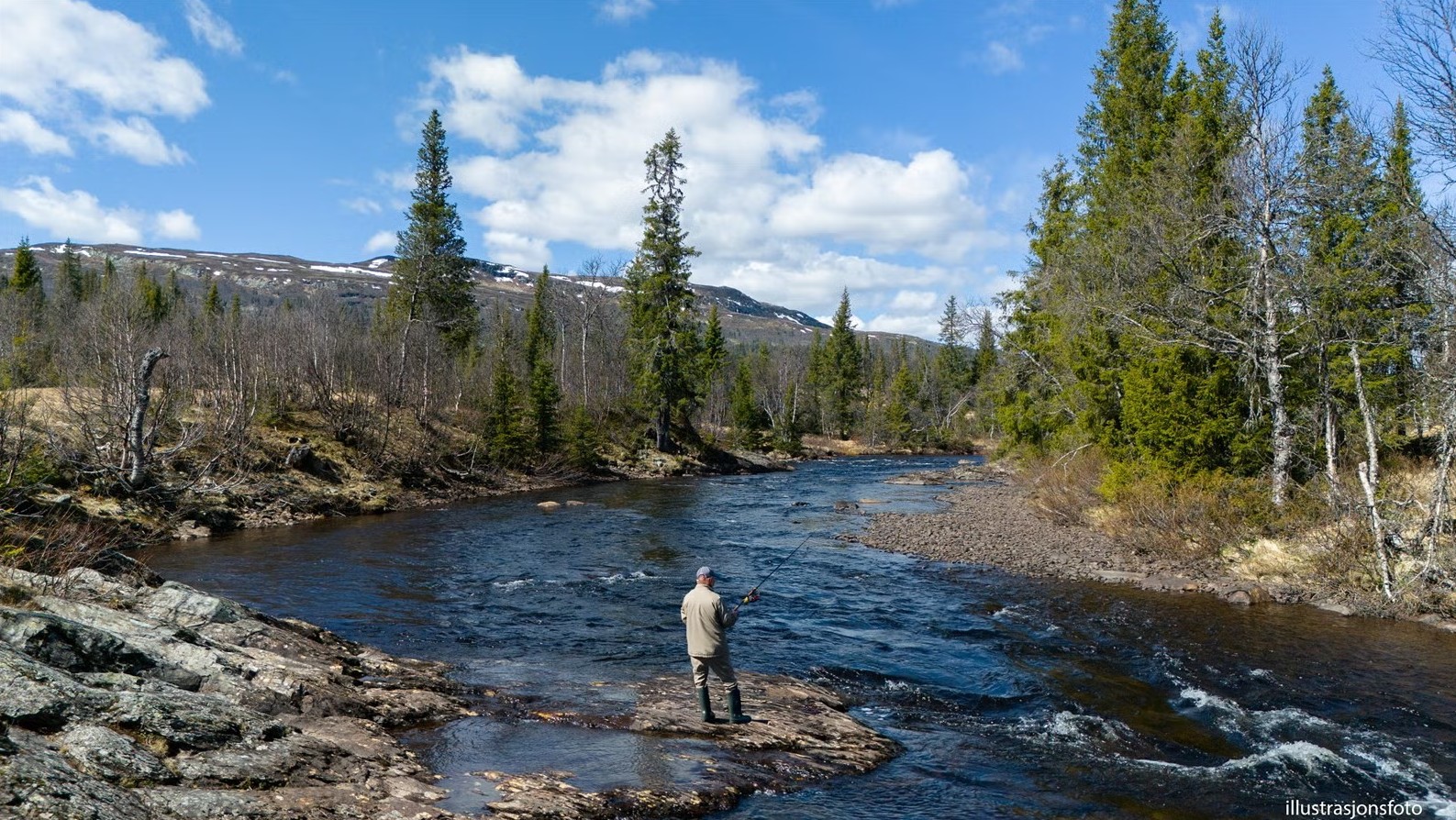 Bjørnebo Synnfjell (16)
