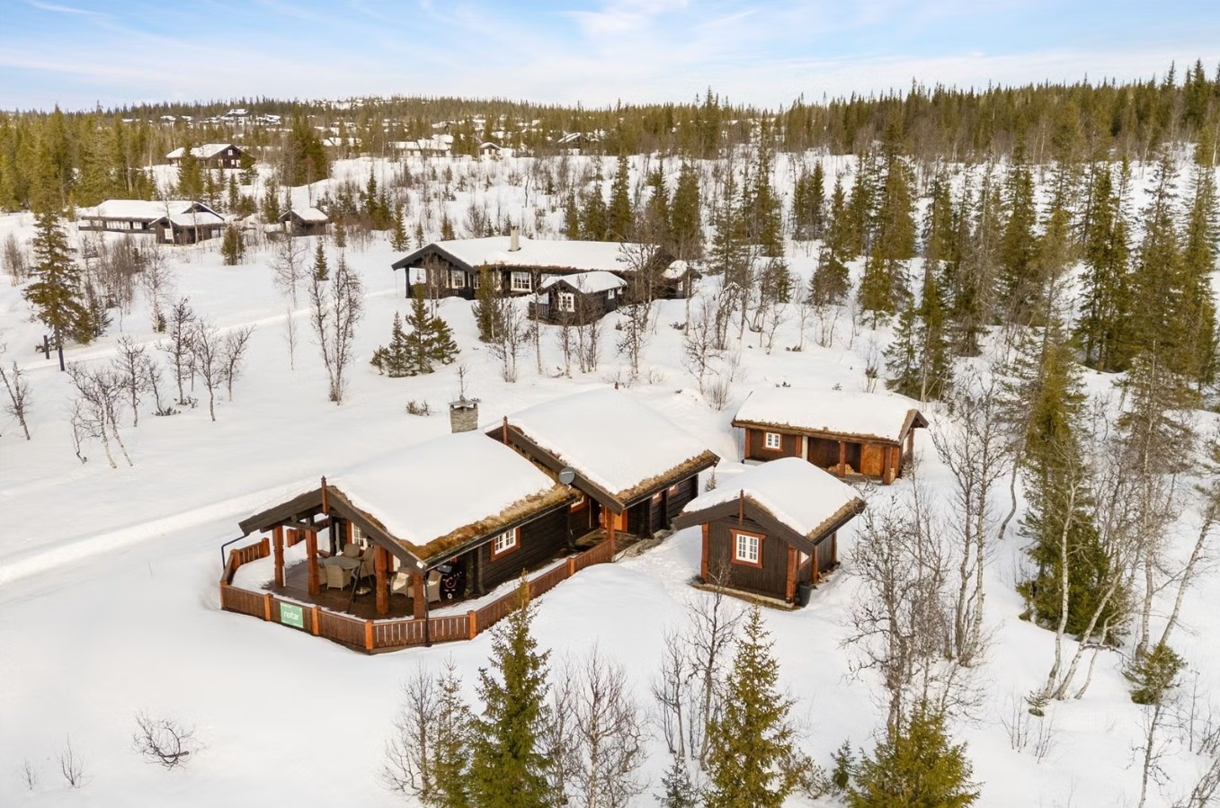 Bjørnebo Synnfjell (19)