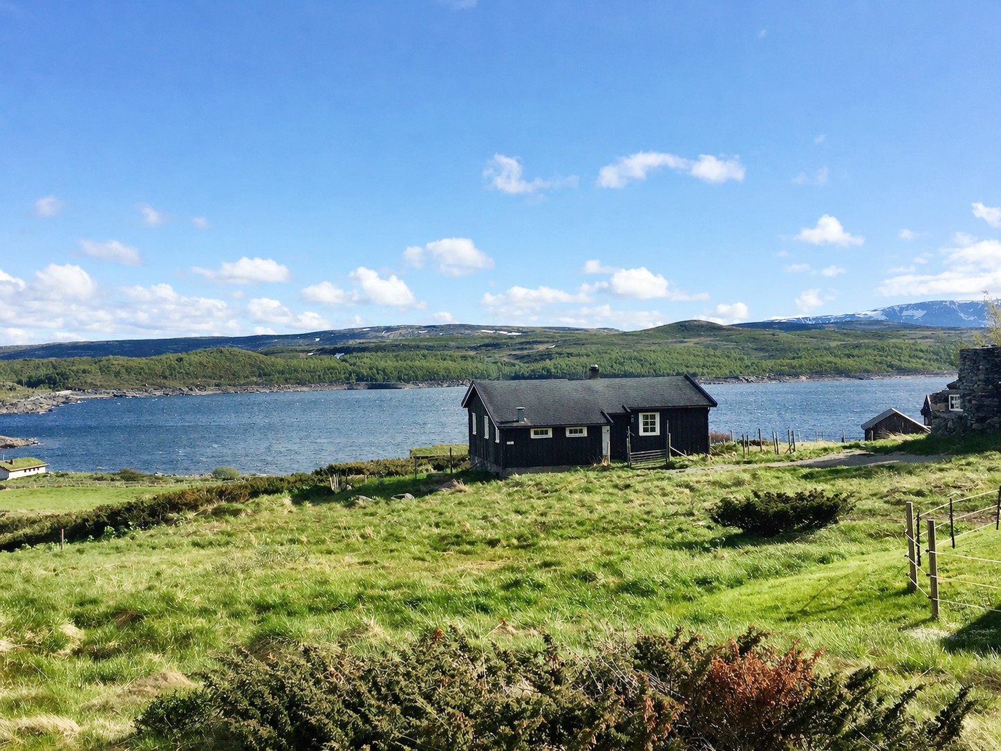 Kjøniksbu På Ål Sommer