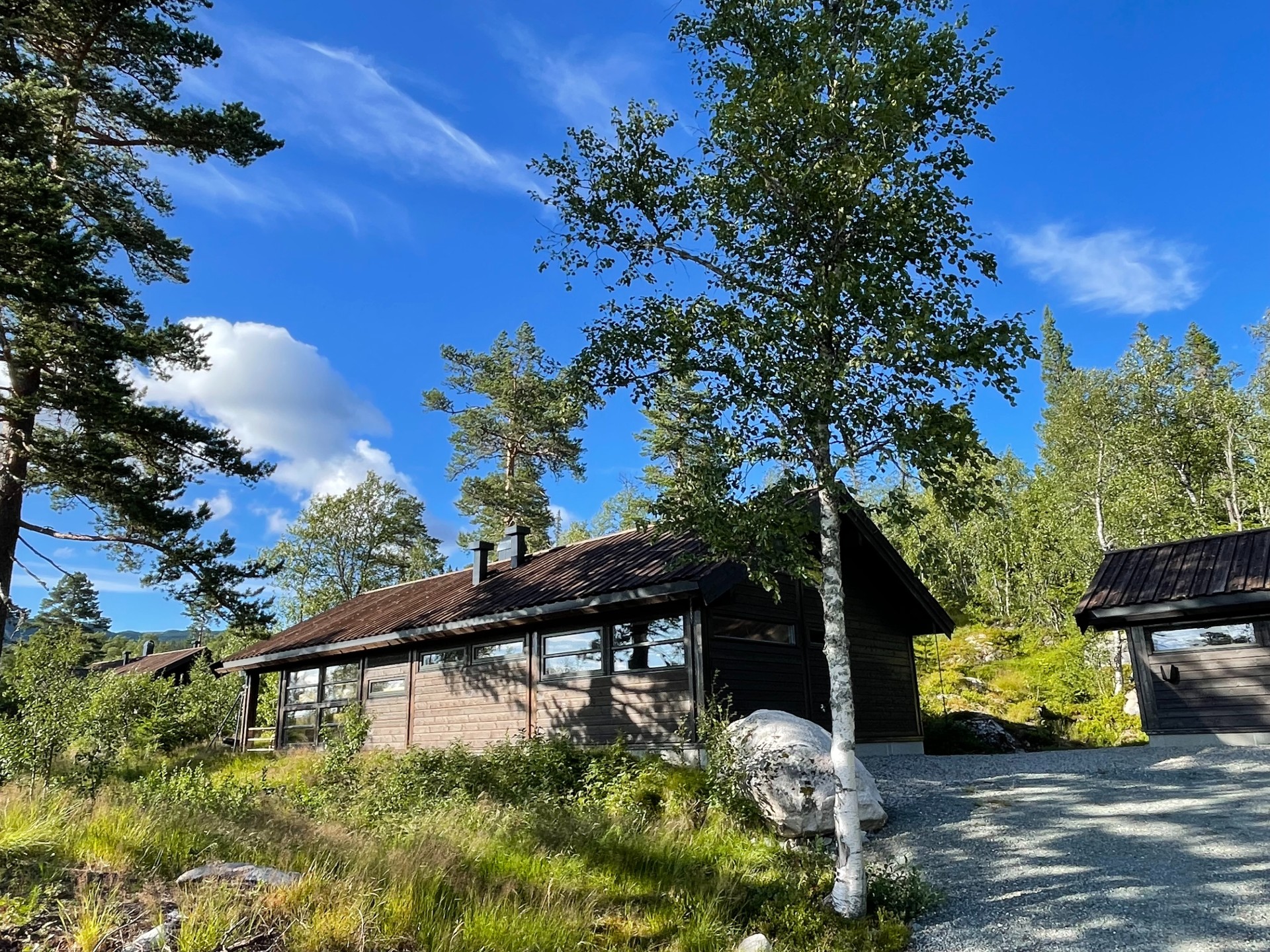 Tiurhytta På Sørbølfjell, Flå (16)