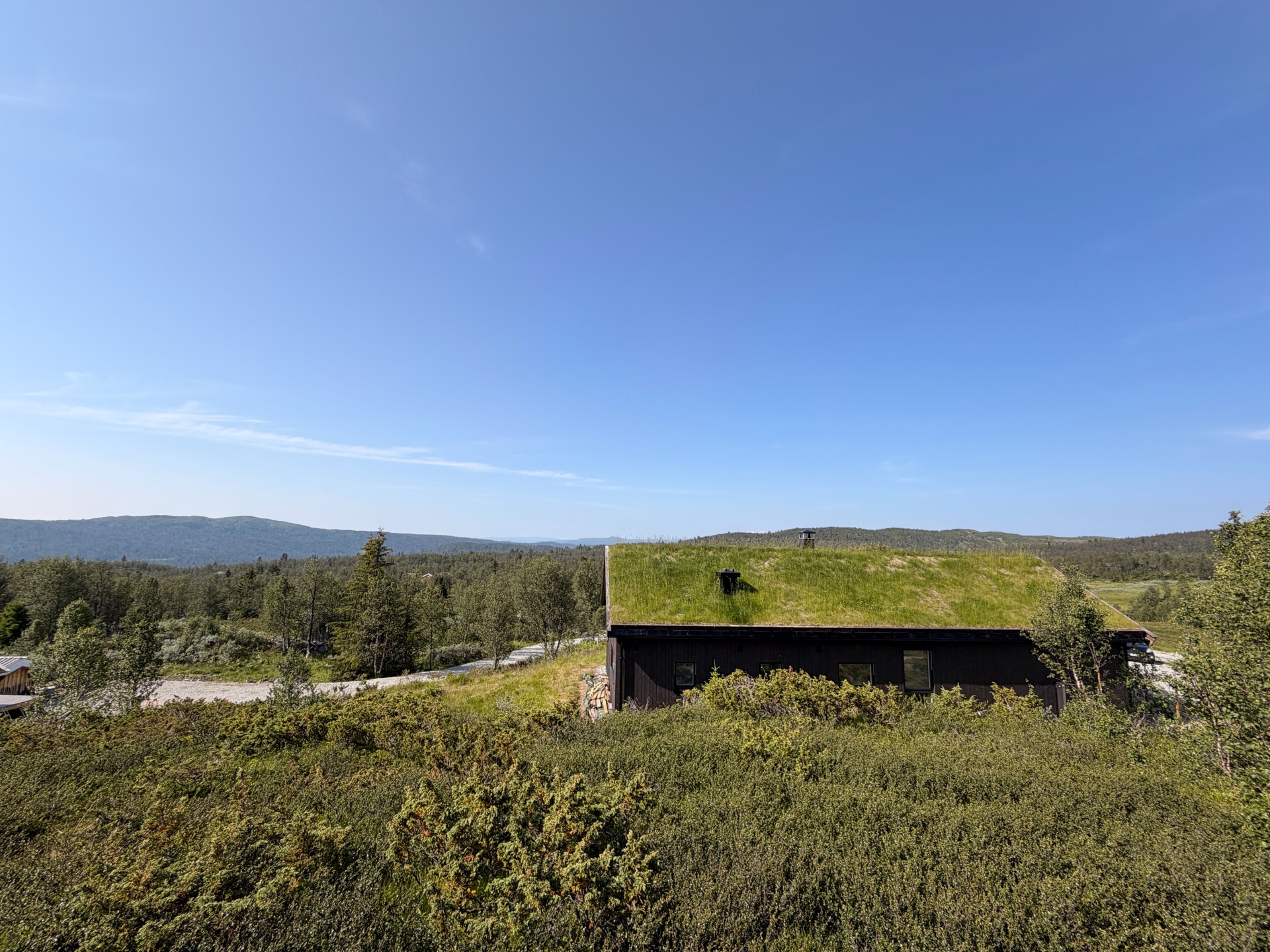 Rabbelia Ål I Hallingdal (9)
