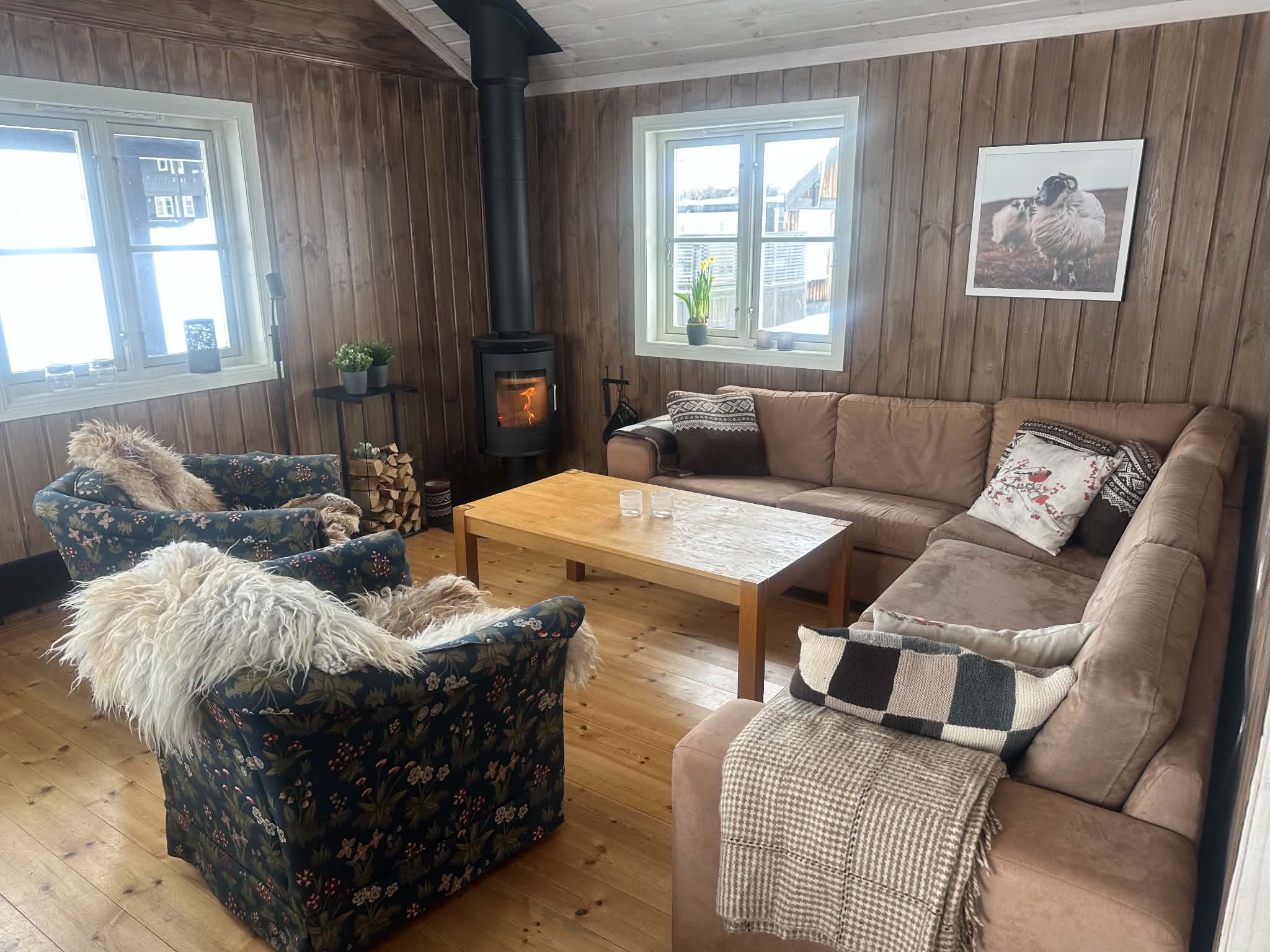 Skituppen Hytte På Rauland (1)