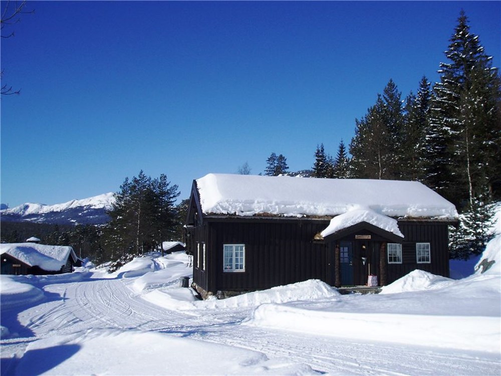 Hytter til leie i Telemark