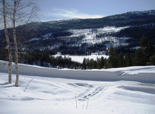 Utsikt vinter fra Skojestua.jpg
