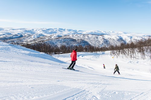 alpin på Ål